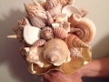 Scott-Seashell-Bouquet